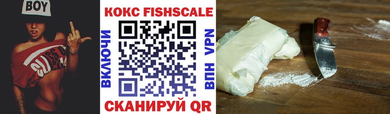 Купить закладки  Печоры  Cocaine Fish Scale 