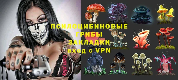 твердый Вязьма
