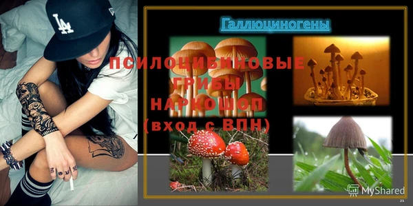 твердый Вязьма
